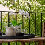 Bed & Breakfast Seven Seas 4*